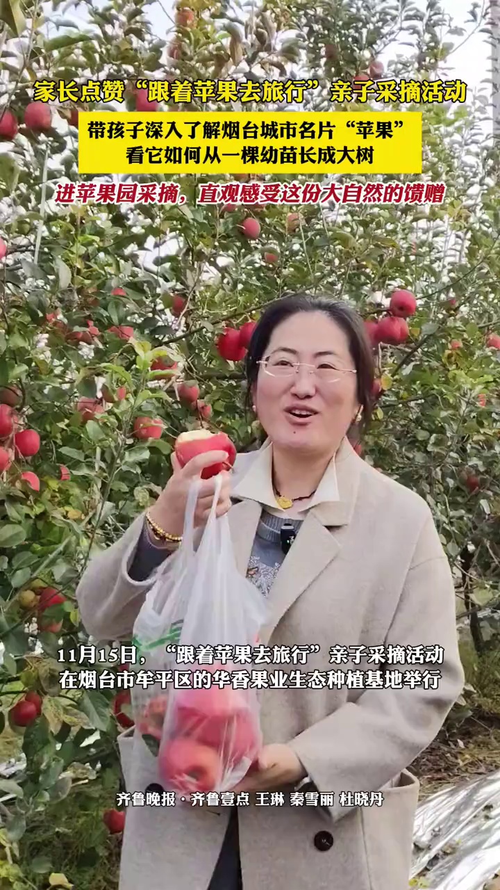 家长点赞“跟着苹果去旅行”亲子采摘活动,带孩子深入了解烟台城市名片“苹果”,看它如何从一棵