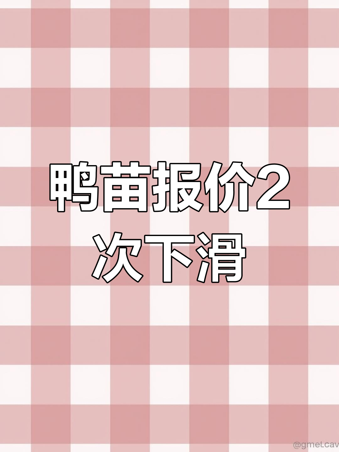 7月13-14日鸭苗价格连续下跌,市场波动分析