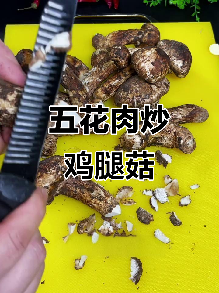 鸡腿菇炒五花肉,简单又下饭!