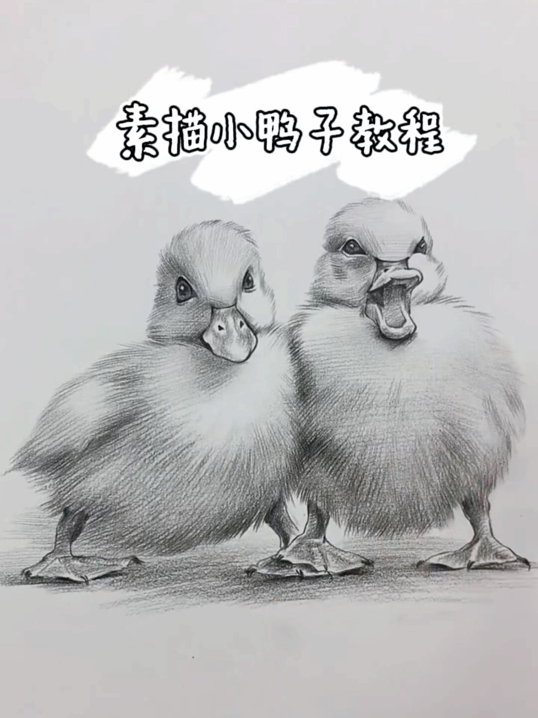 零基础也能学!简单易学的素描小鸭子