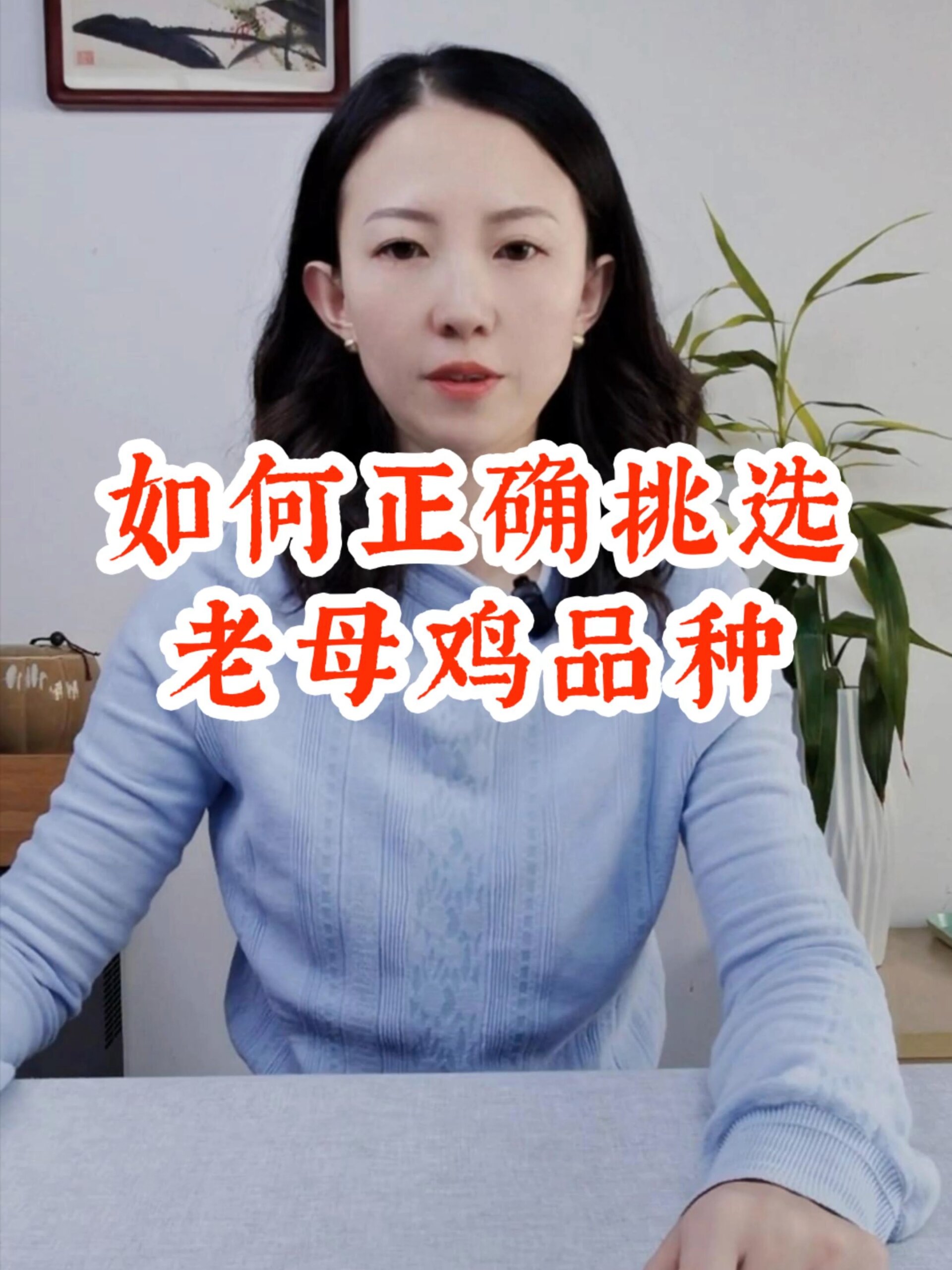 南北方著名的鸡,有哪些品种呢?你选对了吗