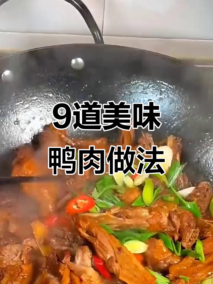 九种鸭子做法大揭秘,最后一道绝了!