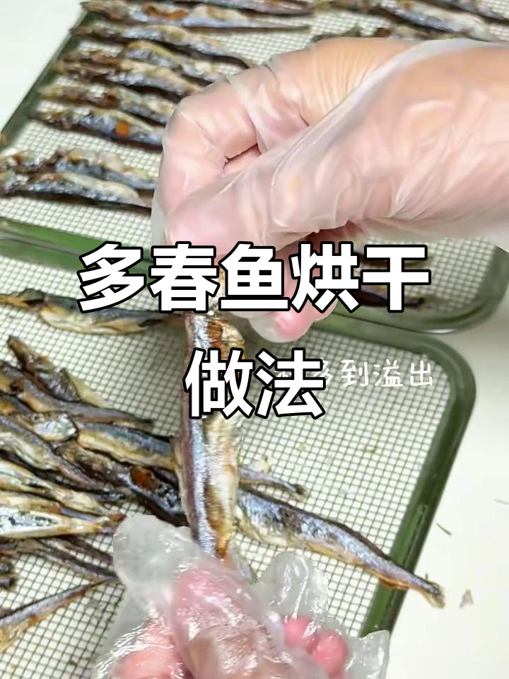 轻松处理多春鱼，宠物零食DIY教程