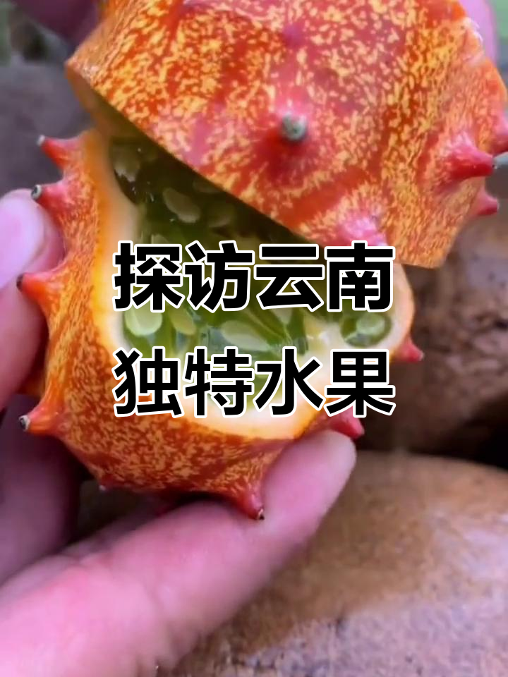 云南特色水果大揭秘，你尝过几种？