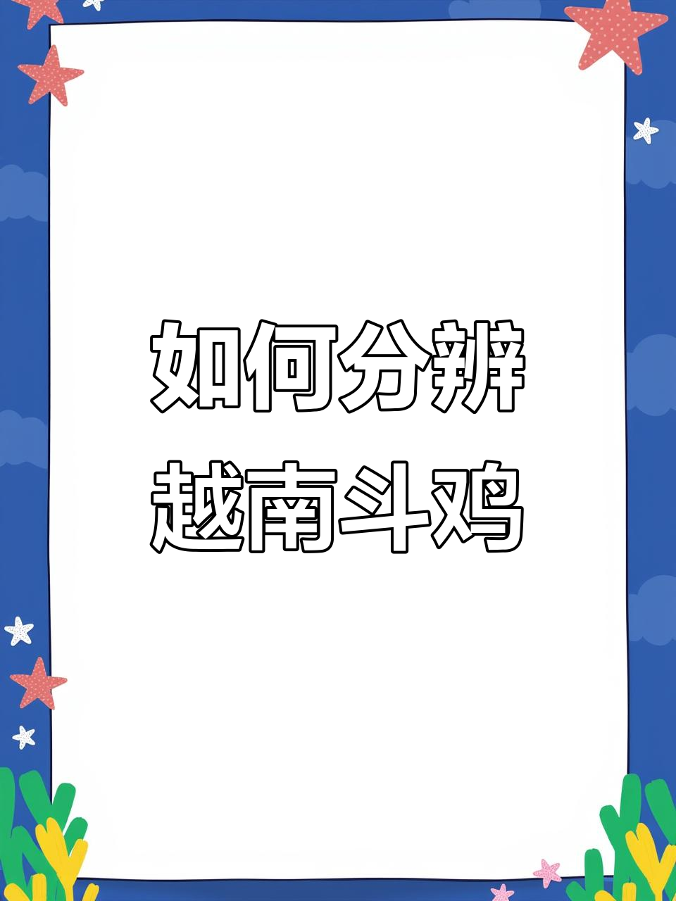 越南斗鸡与土炮斗鸡的区别，你了解吗？