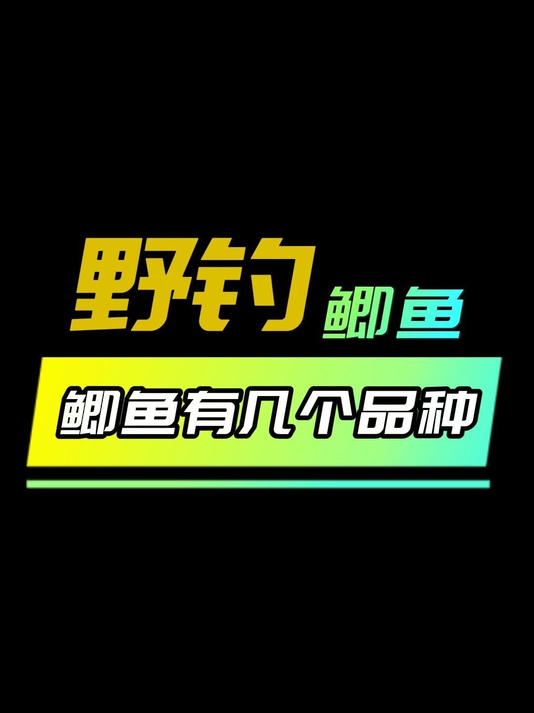 鲫鱼有几个品种,你平时钓的鲫鱼是哪一种