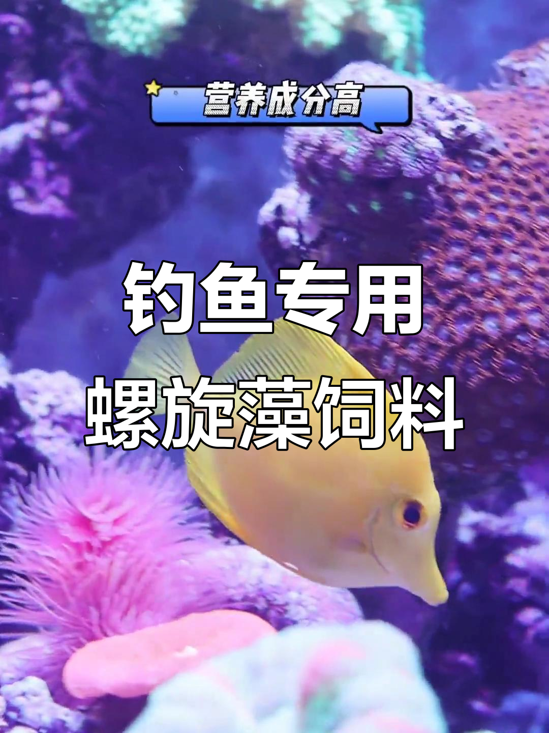 短肠道钓类必备！螺旋藻素食鱼粮，助力健康与水质