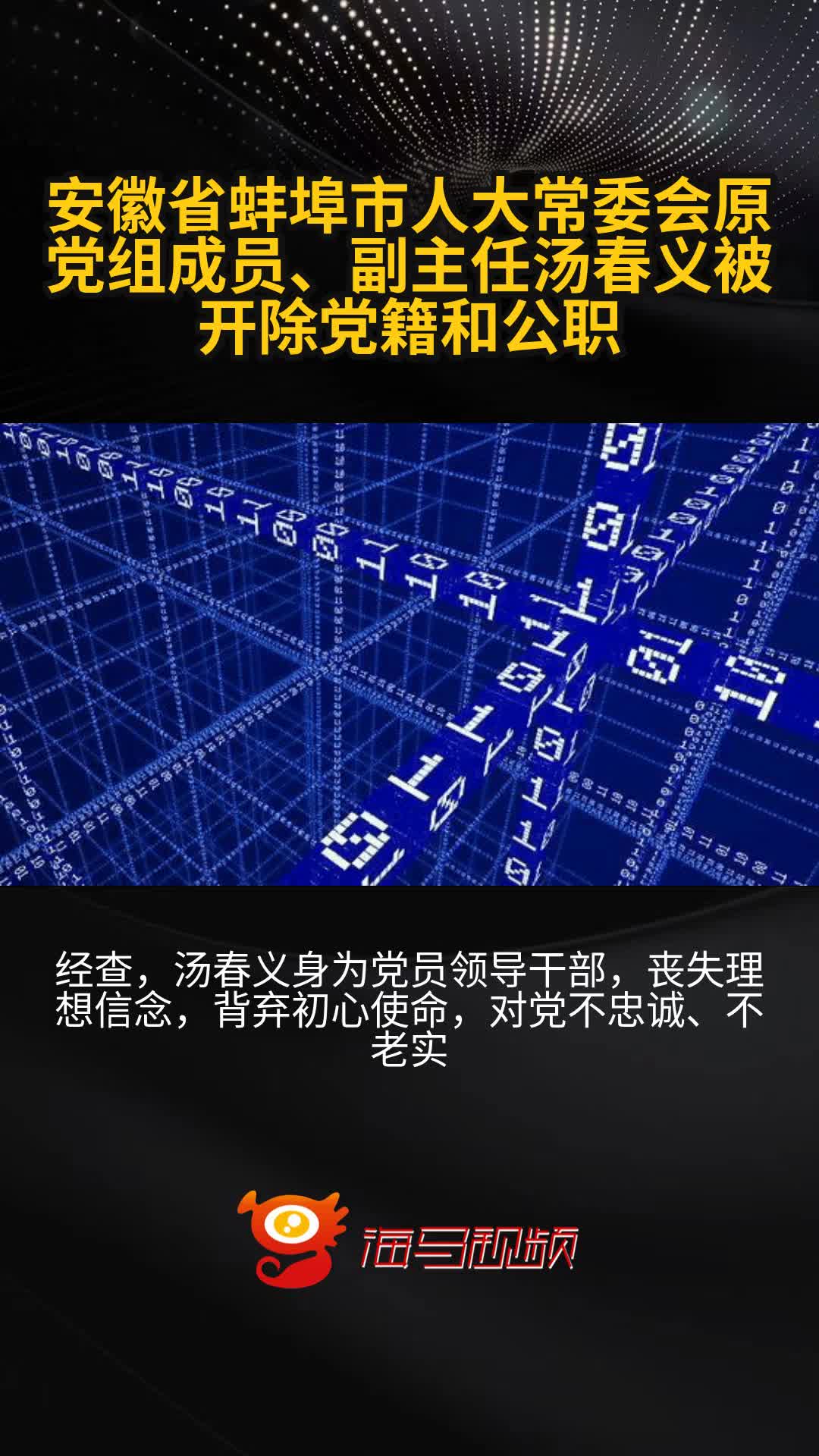 安徽省蚌埠市人大常委会原党组成员、副主任汤春义被开除党籍和公职