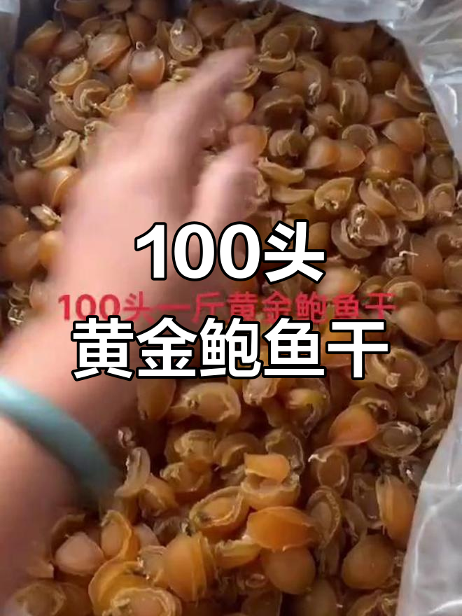 100头黄金鲍鱼干,足竿好货不容错过