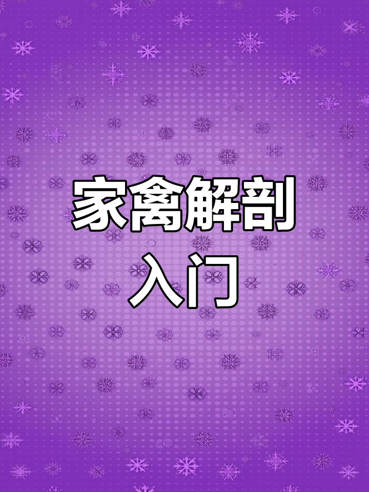 鸡解剖基础教程,轻松掌握各器官