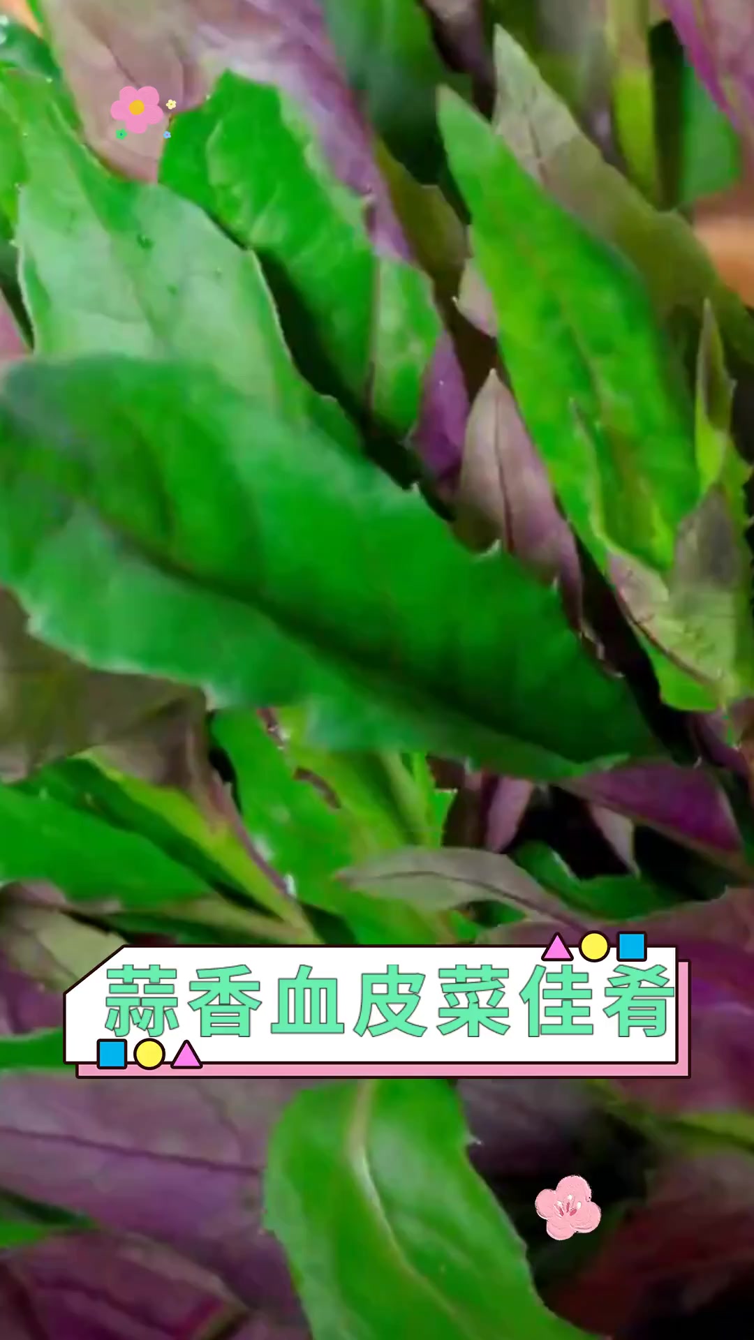 蒜香血皮菜佳肴