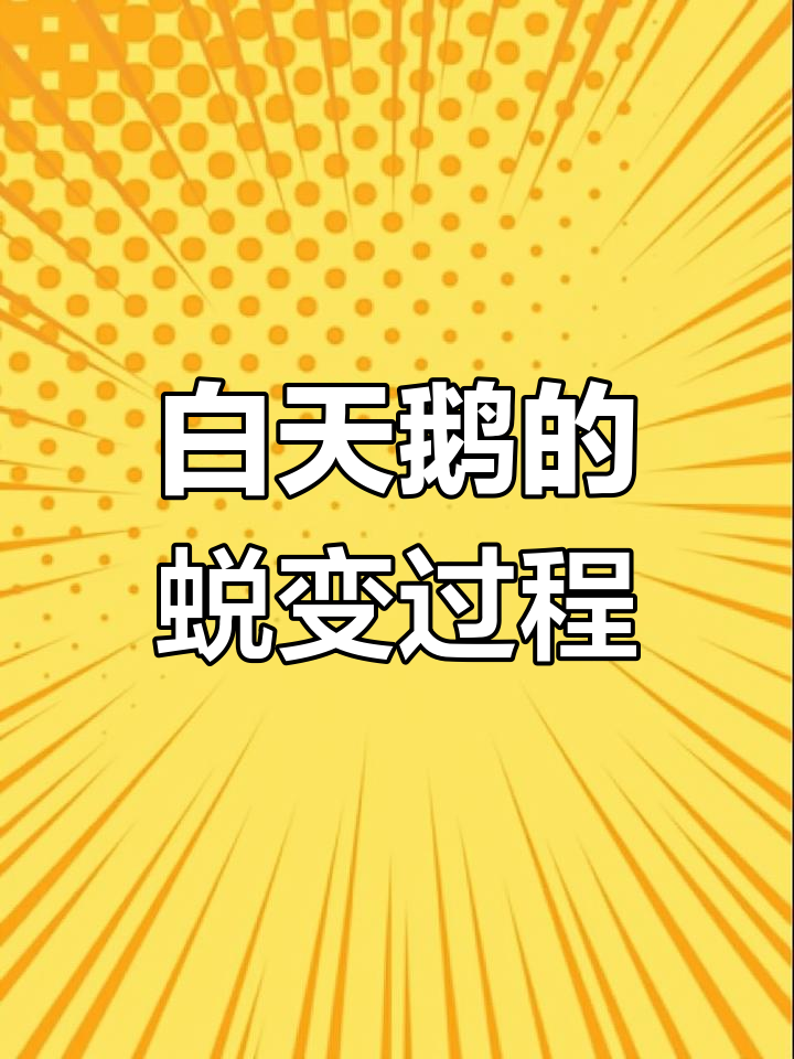 白天鹅的成长秘密:从丑小鸭到高飞能手