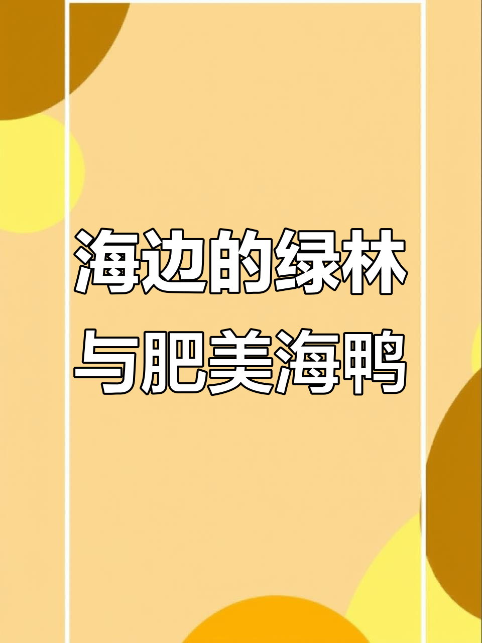 红树林:海水中的绿色守护者,海鸭的幸福家园