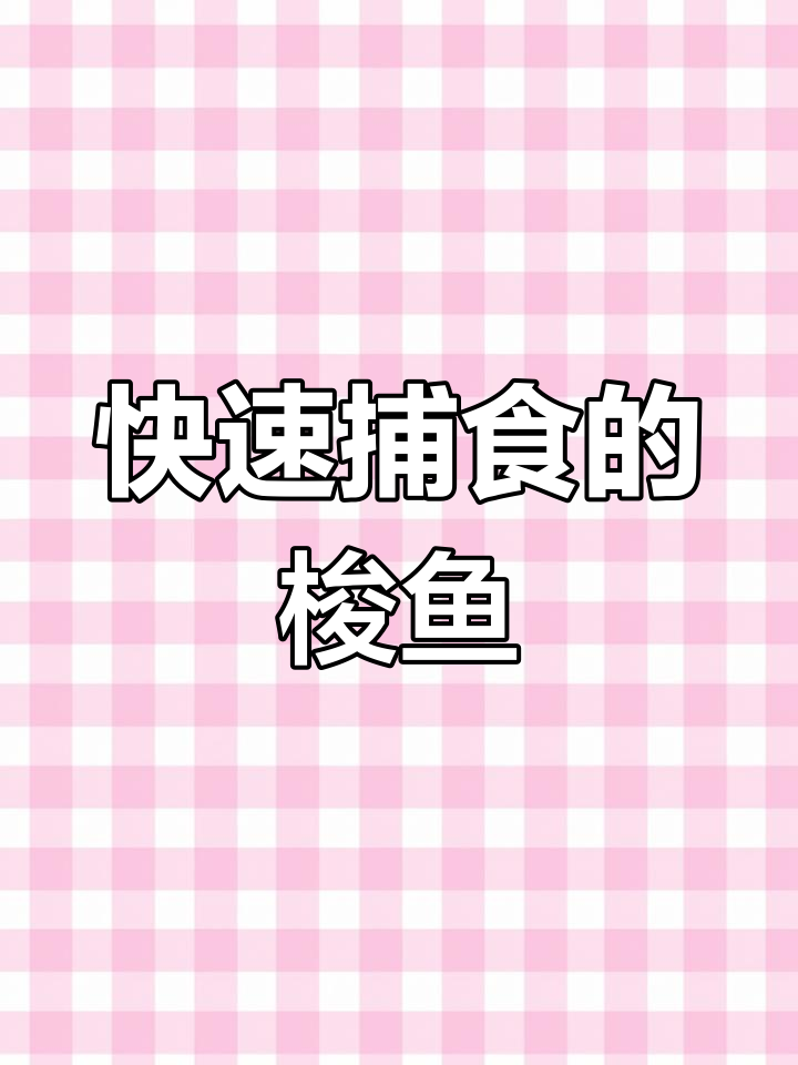 梭鱼:海洋中的速度之王