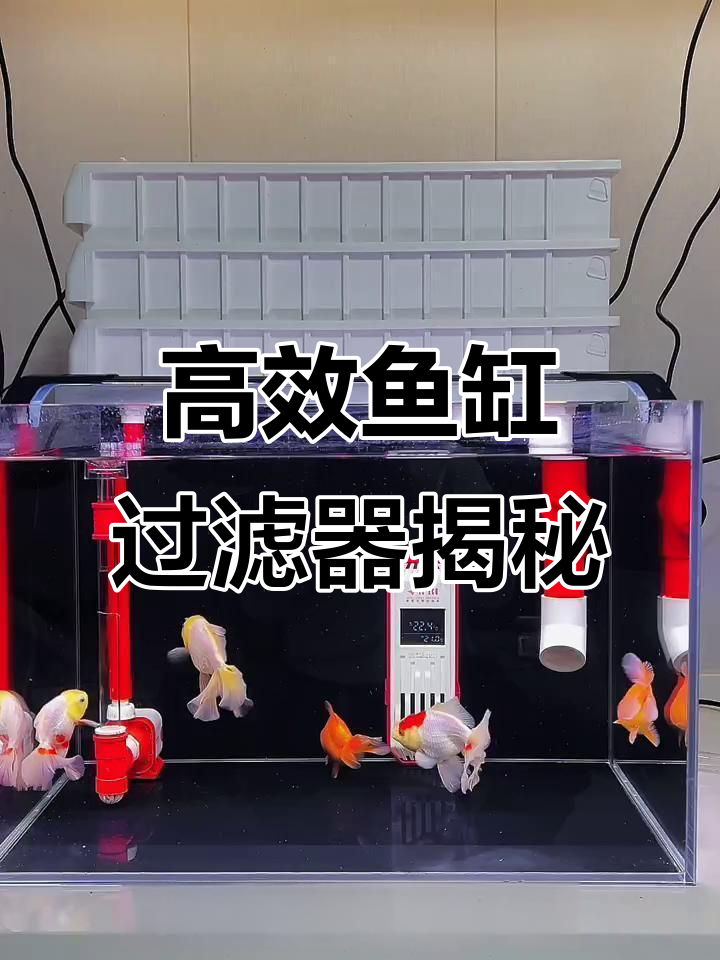鱼缸过滤盒全解析:滴流、周转箱与铝合金支架的完美搭配