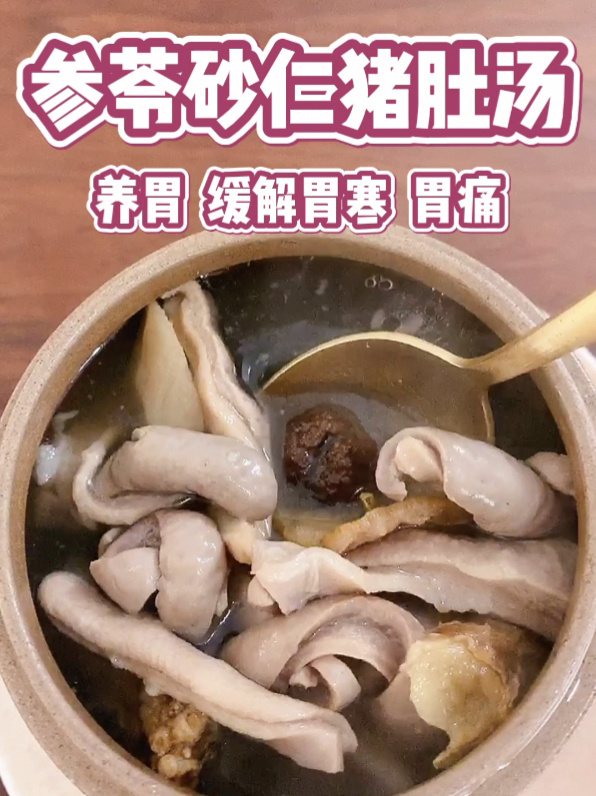缓解胃寒胃疼|参苓砂仁猪肚汤