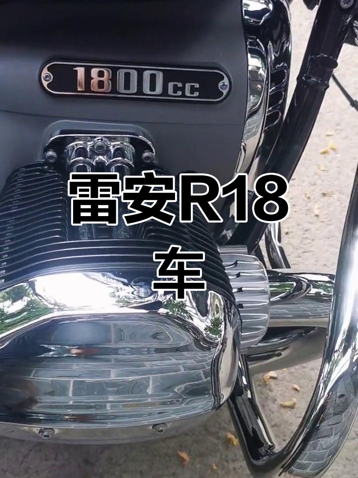 瑞金嘉车系解析