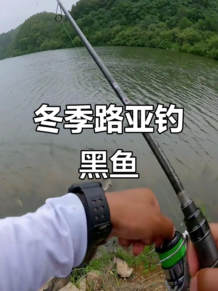 寒冬来临,如何用铅头钩软饵钓黑鱼?技巧与装备全解析