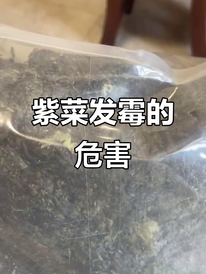 紫菜长毛了还能吃吗?危害竟然这么大