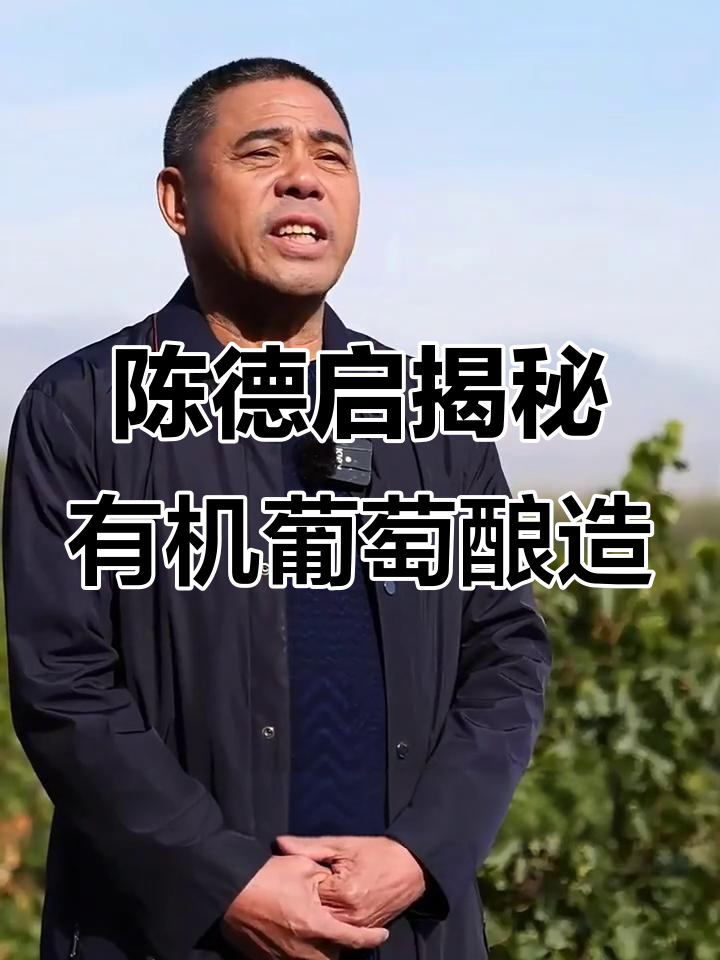 宁夏赤霞珠葡萄酒的秘密:陈德启带你了解有机酒庄的故事