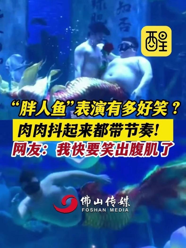 “胖人鱼”表演有多好笑?肉肉抖起来都带节奏!网友:我快要笑出腹肌了。(编辑:莫丽仪;责编:
