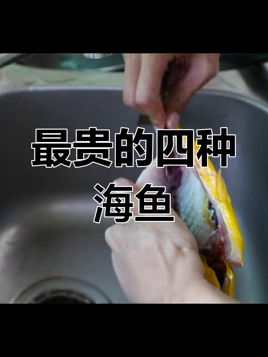 野生大黄鱼为何如此昂贵?