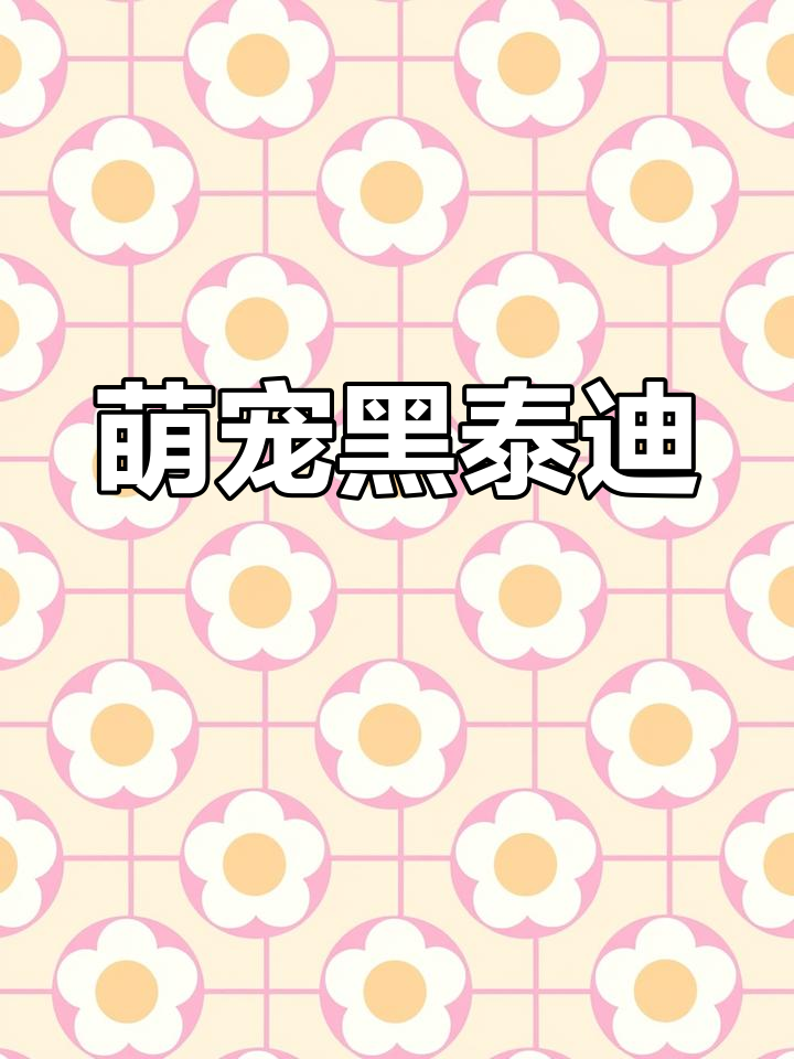 新成员:黑色泰迪,铁包金品种