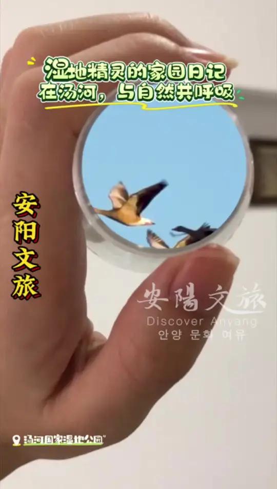 汤河国家湿地公园·湿地精灵的家园日记