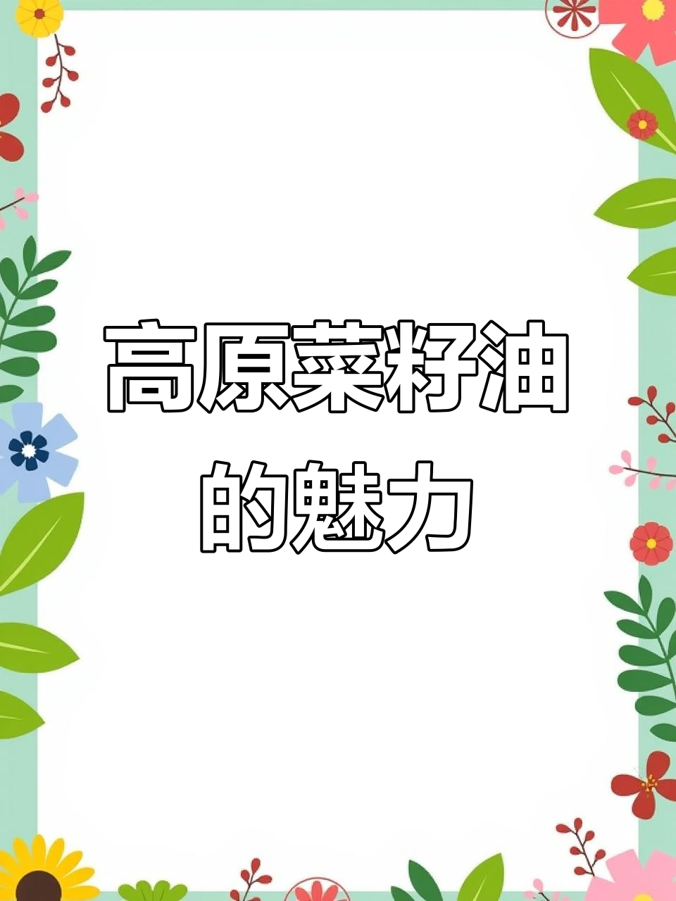 高原菜籽油,纯正的天然美味