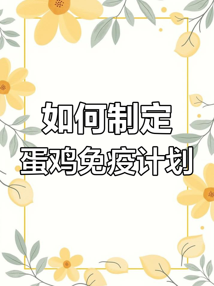蛋鸡传支免疫程序全解析:如何规划疫苗接种时机