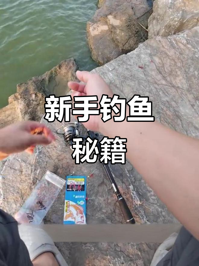 虾皮串钩轻松钓鱼，新手必备神器，简单高效！