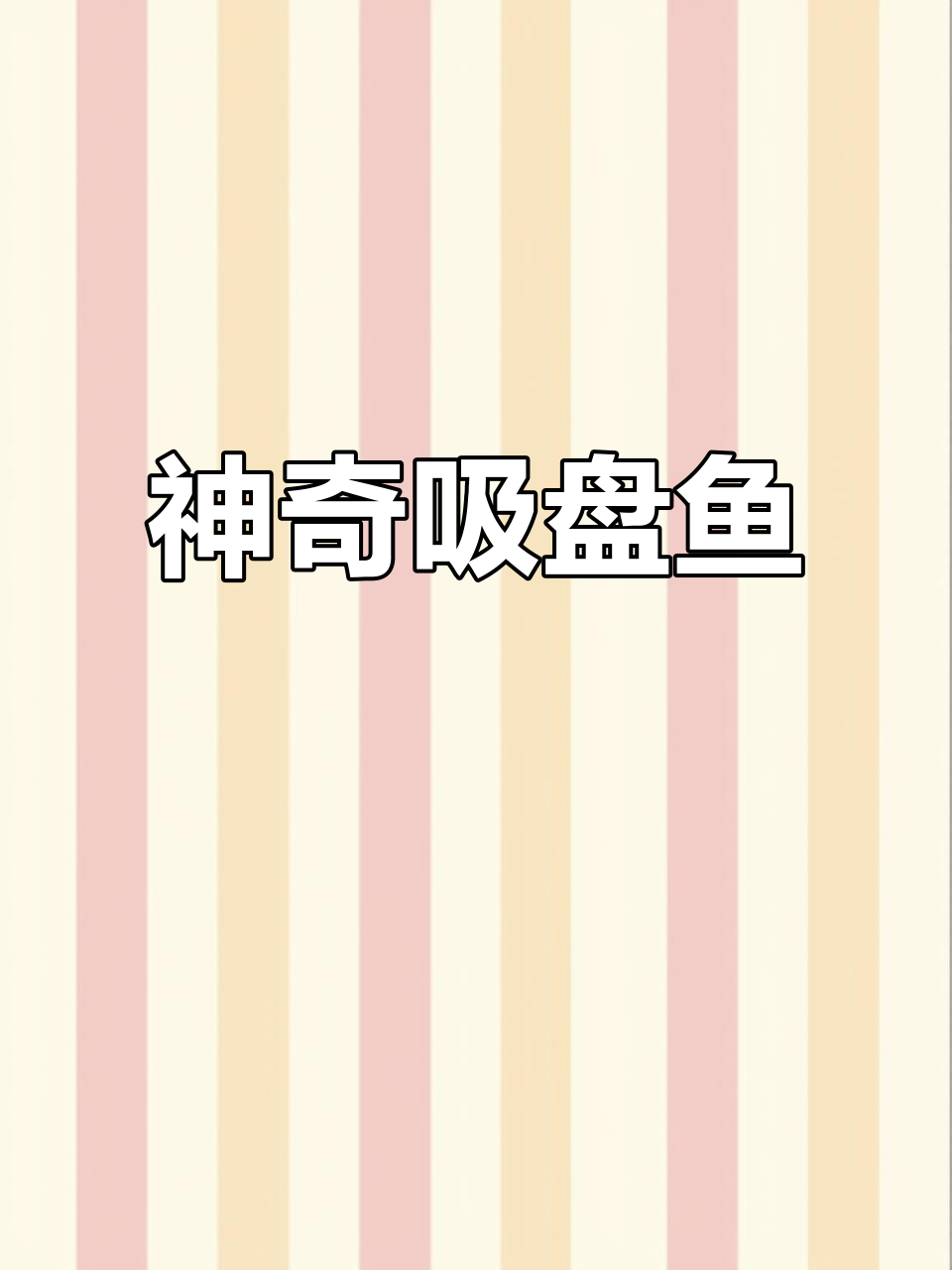 嘴巴像吸盘的神秘海洋生物,见过吗?