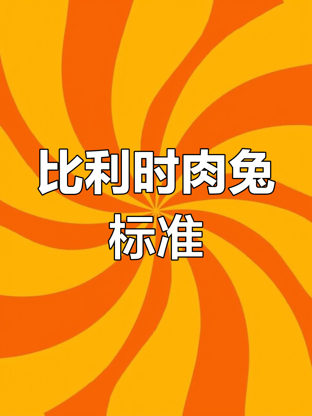 纯正比利时肉兔特征解析