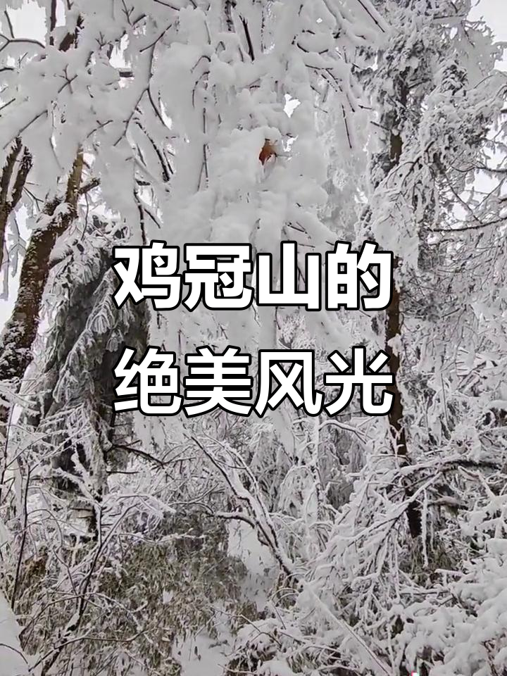 崇州鸡冠山，美景震撼到不敢信！