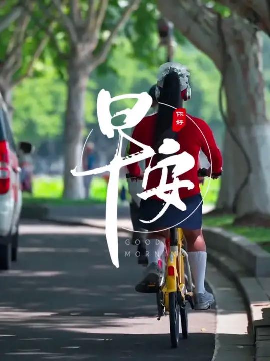清晨送你一句励志，愿人间皆安万事顺遂#早安语录 #早安励志 #每日正能量 #人生感悟