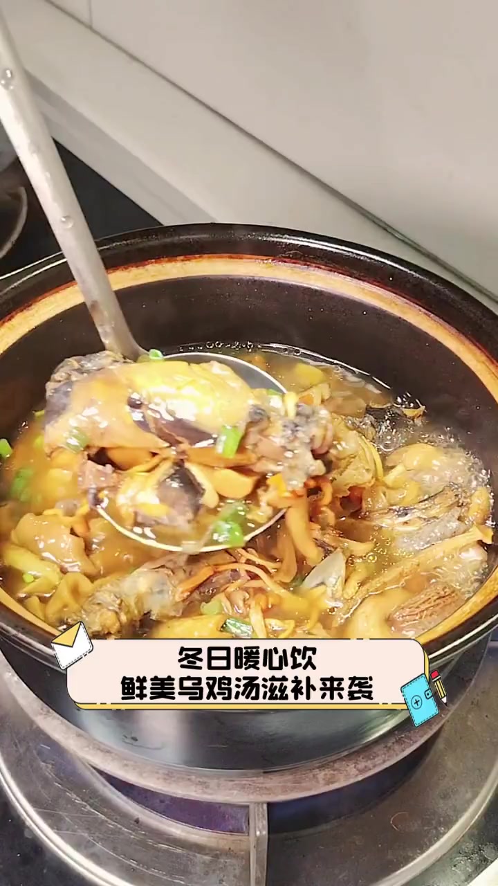 冬日暖心饮,鲜美乌鸡汤滋补来袭