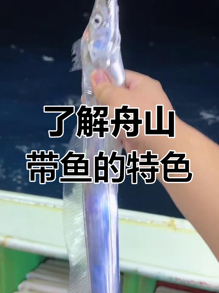 舟山带鱼为何如此独特?揭秘其特点与美味