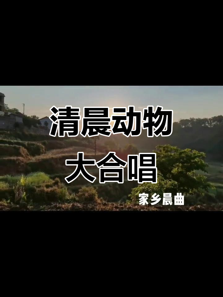 清晨鸡鸣狗叫,鸟语和谐奏响