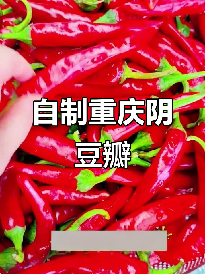 重庆阴豆瓣酱制作秘籍,真材实料打造地道美味