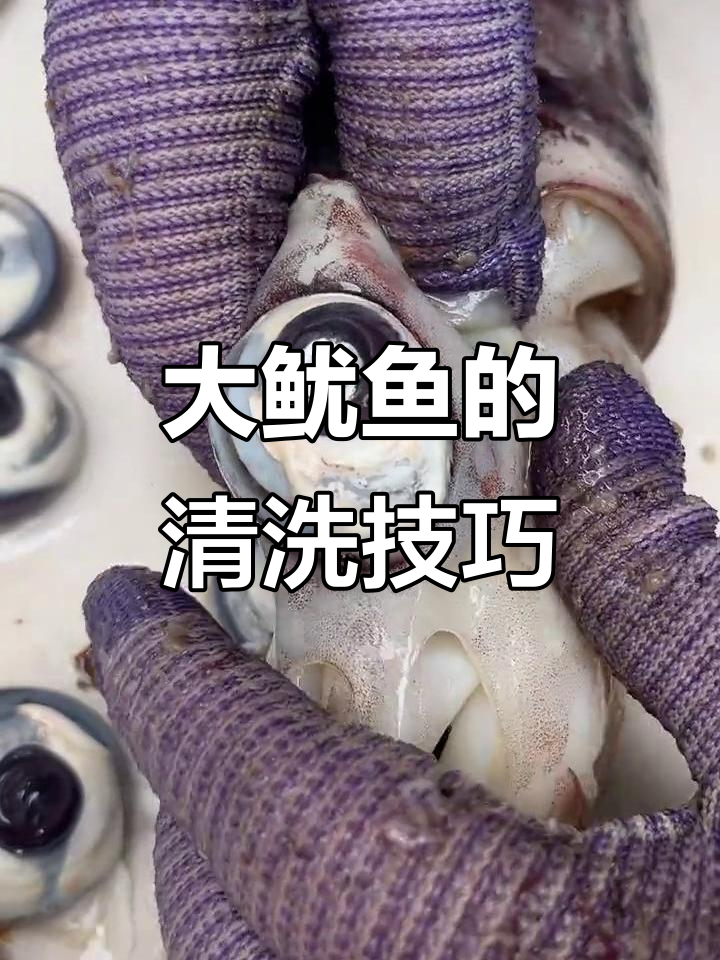 快速清理大鱿鱼,教你轻松去内脏和表皮