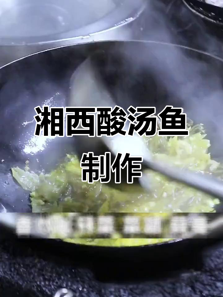 苗家酸汤鱼做法大揭秘,姜蒜酸菜一锅煮