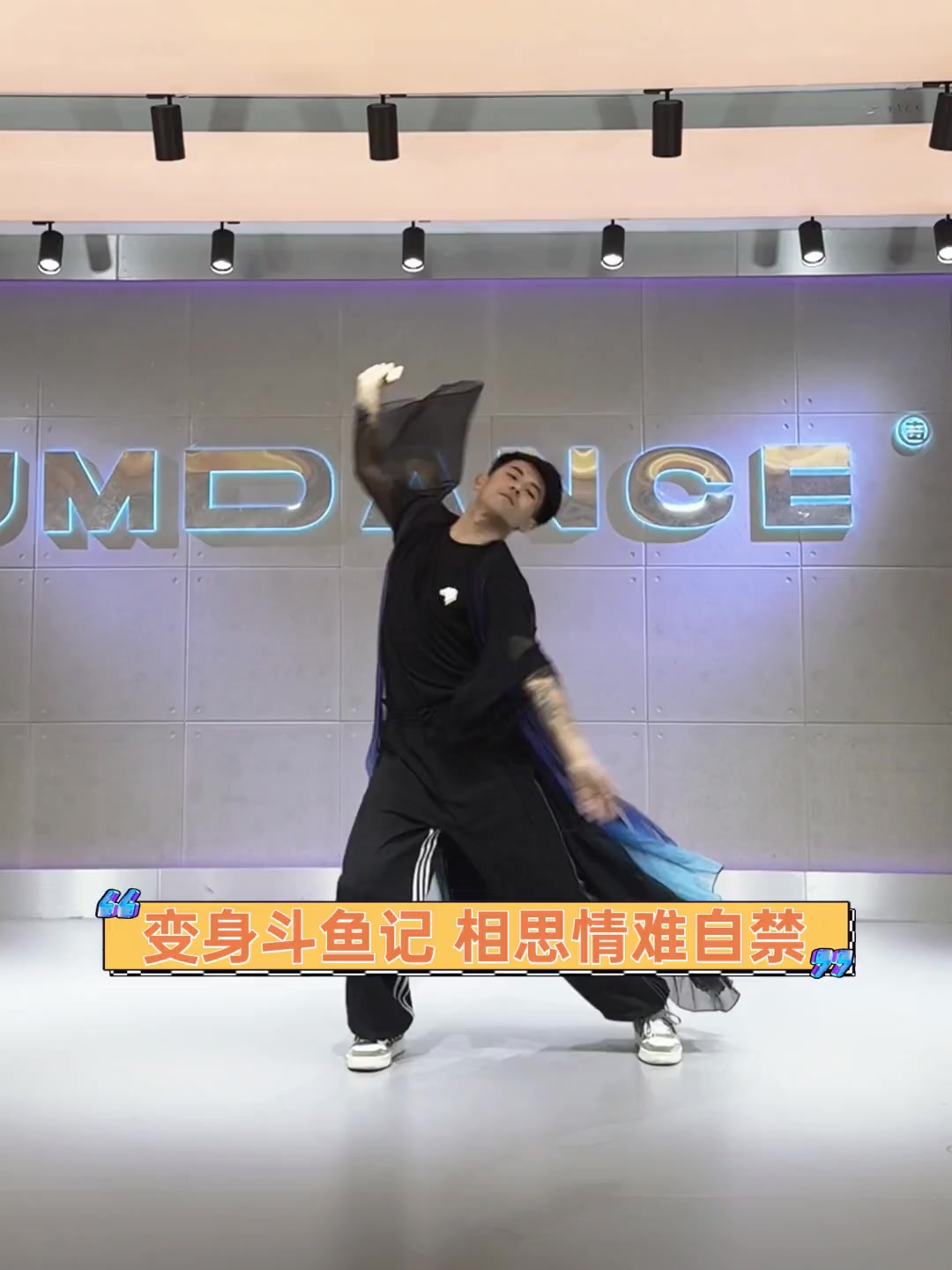 变身斗鱼记,相思情难自禁