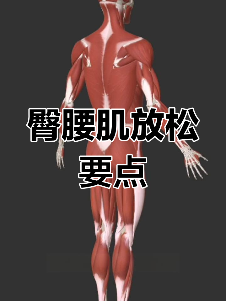 臀部与腰部肌肉放松缓解疼痛