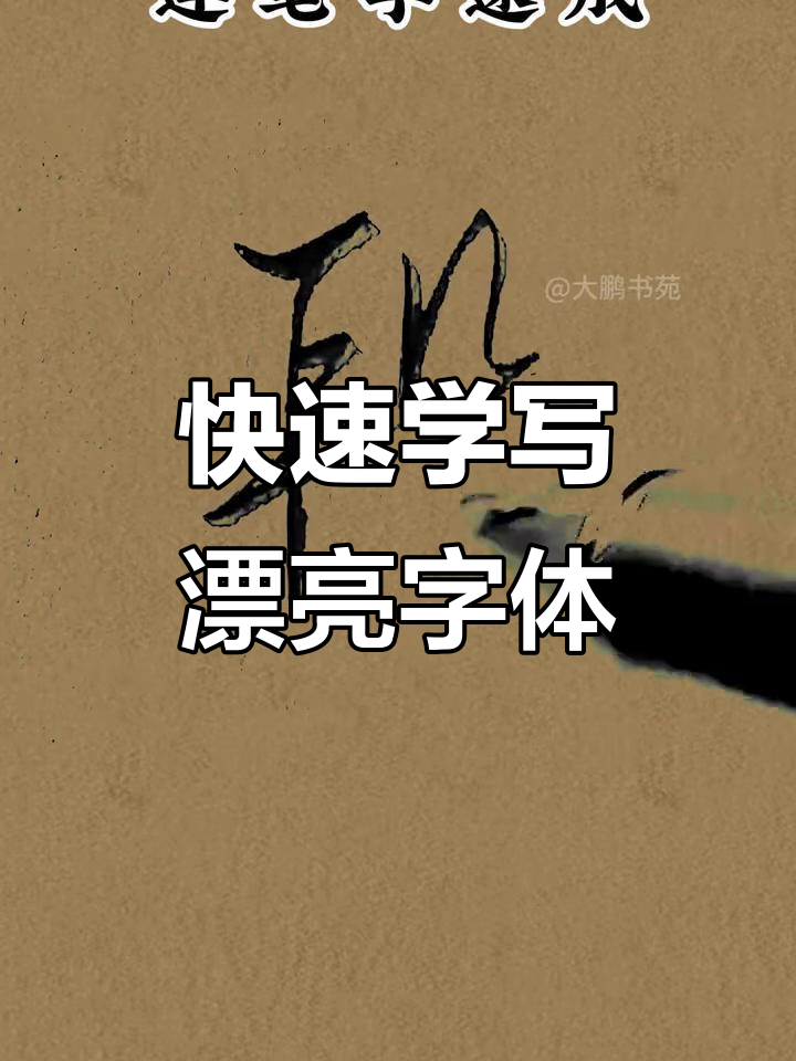 书法速成:从楷书到飘逸,轻松练就一手好字