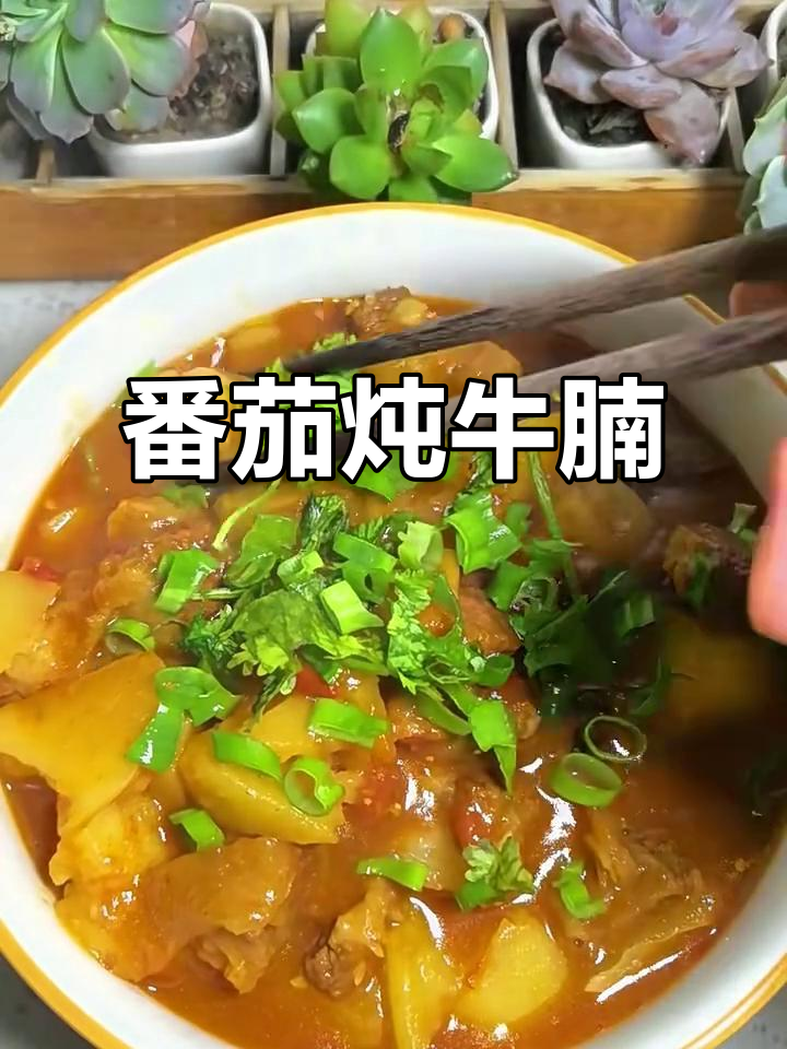 番茄炖牛腩,教你如何做出软烂又香浓的牛肉汤