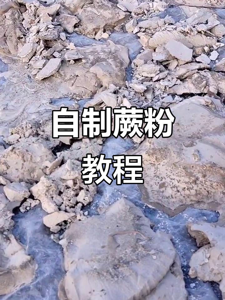 蕨菜根变蕨粉,纯天然绿色食品制作方法