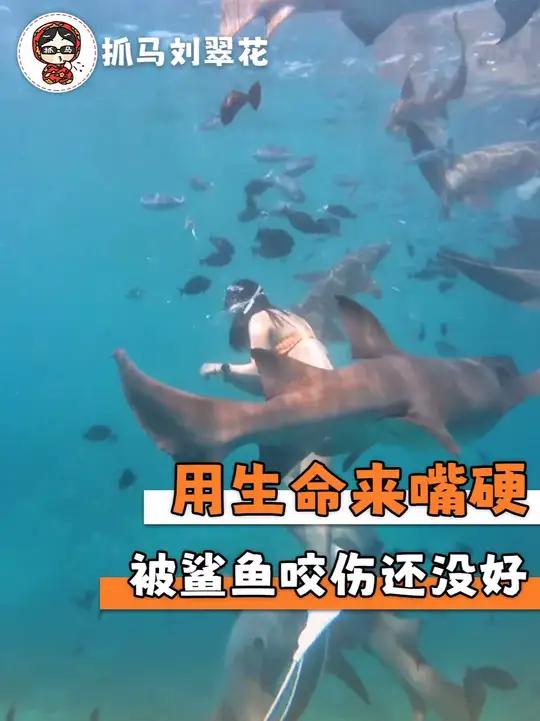 被鲨鱼咬伤的博主居然还没好（cr:我爱蓝色）