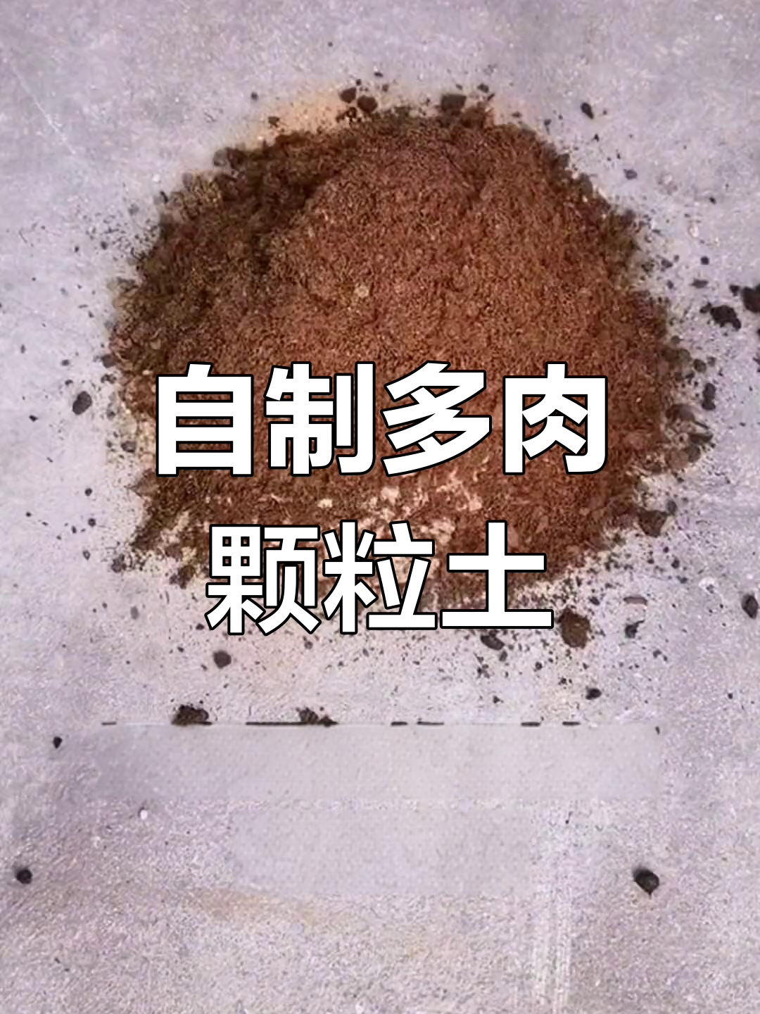 轻松自制多肉颗粒土,简单又有趣