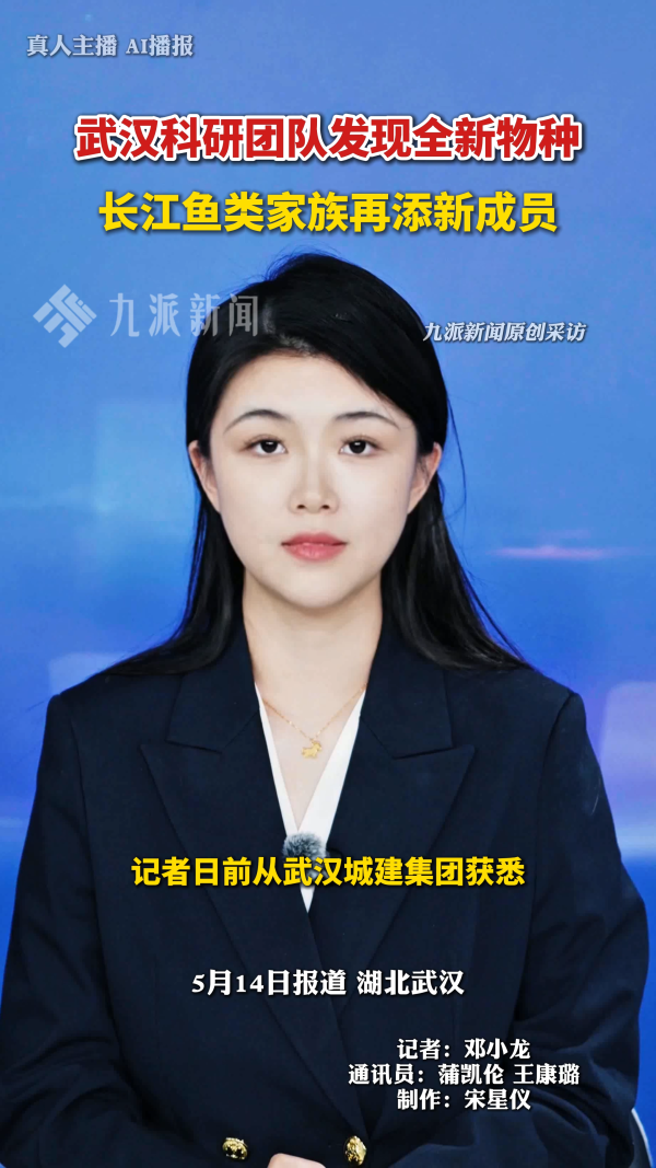 武汉科研团队发现全新物种，长江鱼类家族再添新成员