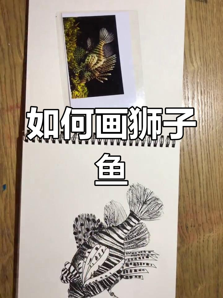 狮子鱼怎么画？简单步骤教你轻松上手